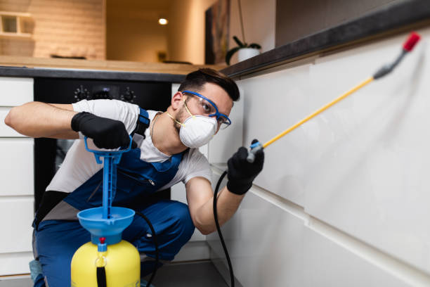Best Affordable Pest Control Services  in Enochville, NC