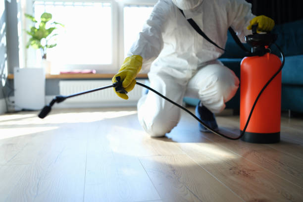 Best Residential Pest Control  in Enochville, NC