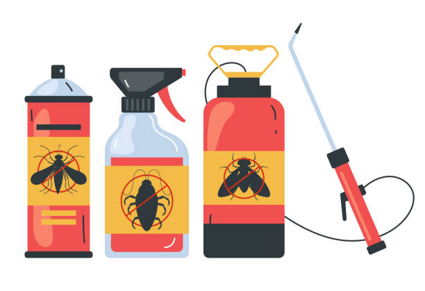 Best Spider Control Near Me  in Enochville, NC