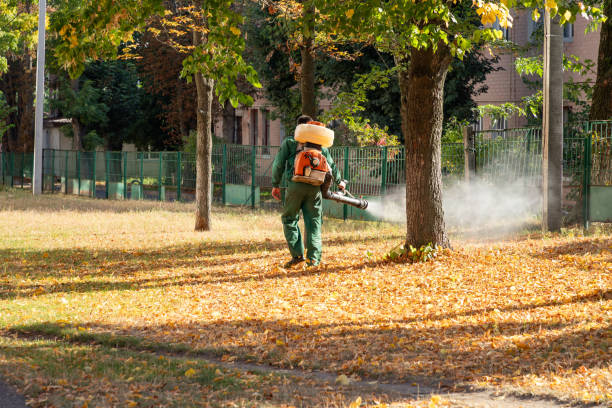 Best Bed Bug Extermination  in Enochville, NC