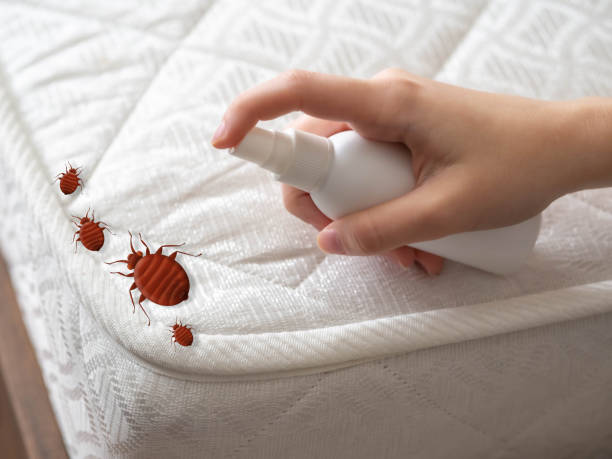  Enochville, NC Pest Control Pros