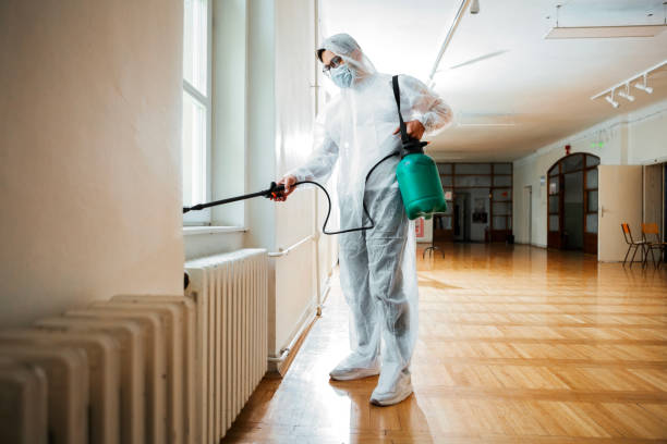 Best Local Pest Control Services  in Enochville, NC