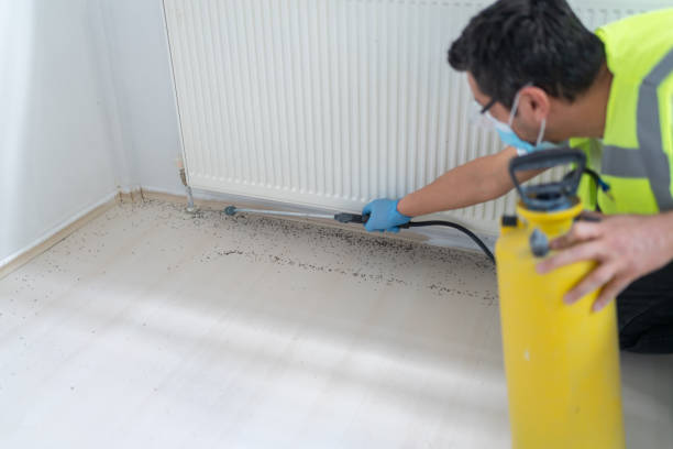 Best Pest Control for Homes  in Enochville, NC